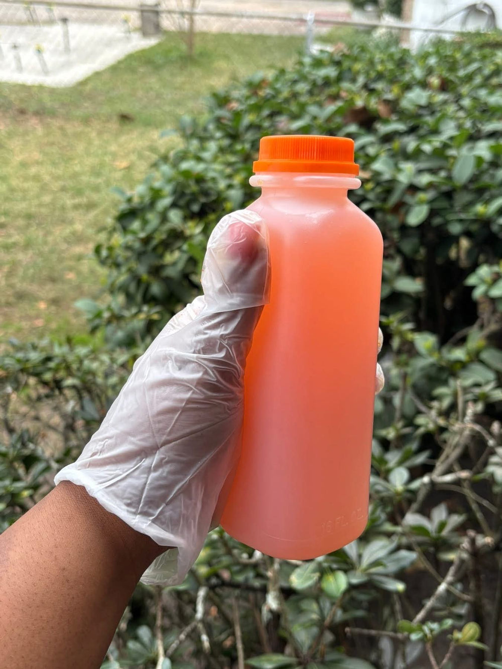 BIG MAMA PUNCH